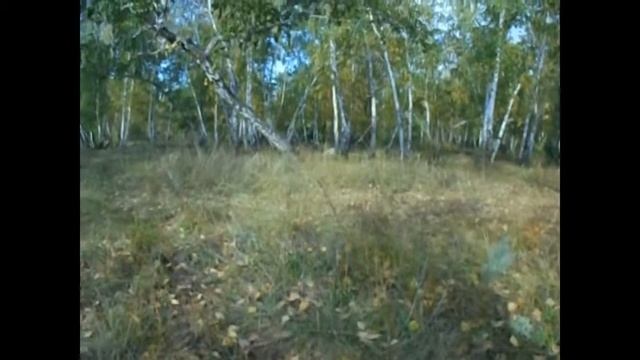 Коп с Аськой 250 смотреть онлайн