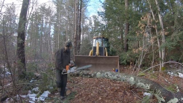 Acorn to Arabella - Journey of a Wooden Boat - Episode 94: Gathering Oak Rootstock смотреть онлайн