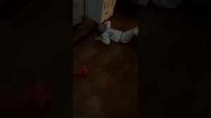 Не хочу в садик,хочу по делам.