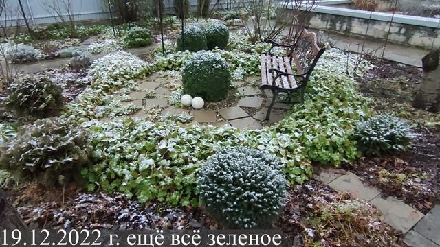 Зима и новогоднее украшение в моём саду 20.12.2022 г. Пятигорск. смотреть онлайн