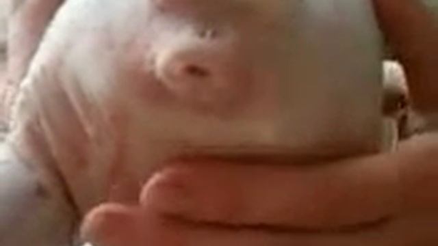 веселый анал смотреть онлайн