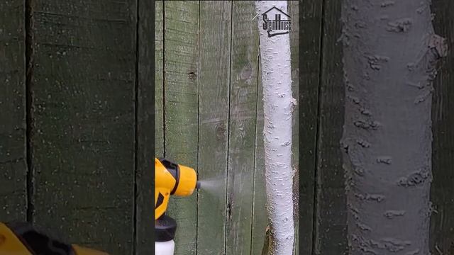 Протестируем? Быстрый способ побелки деревьев? смотреть онлайн