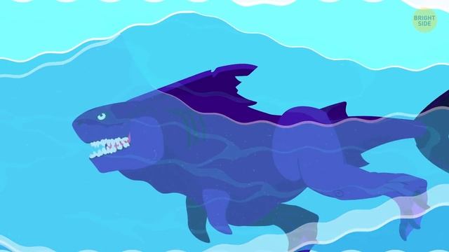 What If Megalodon and T-Rex Evolved into One Creature смотреть онлайн
