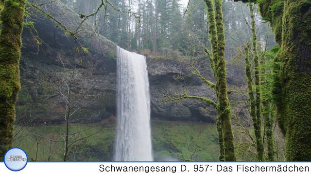 Schubert: Die Schöne Müllerin; Winterreise; Schwanengesang смотреть онлайн