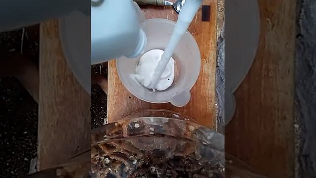 Slime time only body wash and salt!!!!! смотреть онлайн