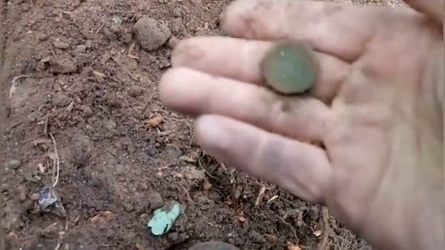 TX-850 делает своё дело. смотреть онлайн