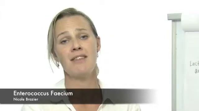5 Enterococcus Faecium смотреть онлайн
