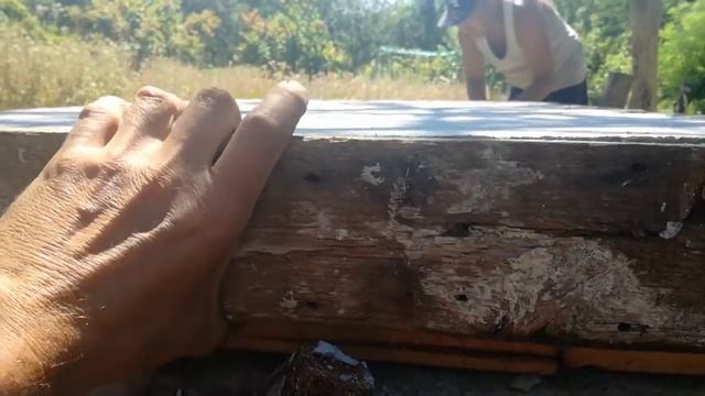 Строительные Хроники