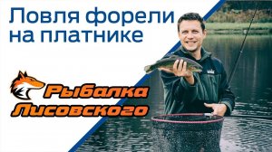 Ловля форели на платнике