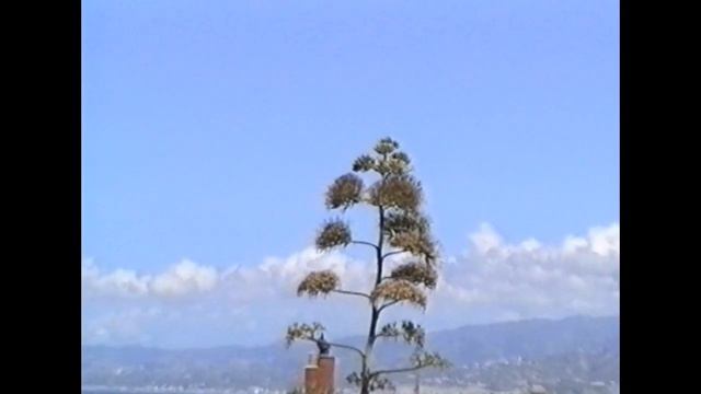 CERCHIAMO DIO - Studio 29: IL GIUDIZIO UNIVERSALE (Il Dio della giustizia) смотреть онлайн