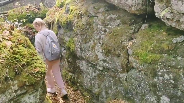 Прогулка по тропе "Кудрявый трейл" смотреть онлайн