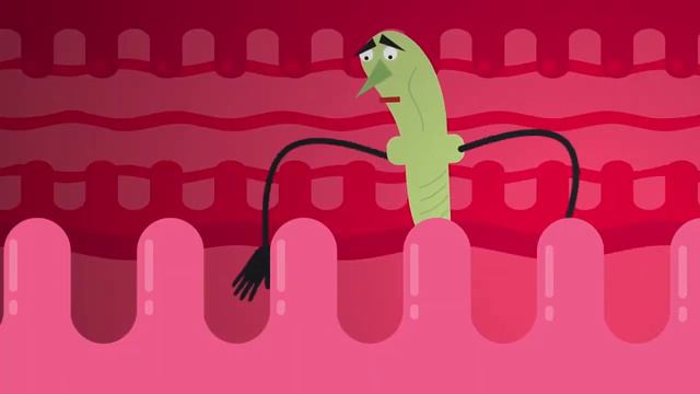 TED-Ed. Как пища, которую мы едим, влияет на наш кишечник. Шилпа Равелла смотреть онлайн