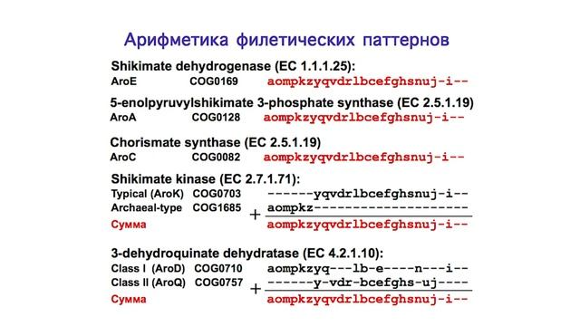 Диалоги "Зачем Нужна Биоинформатика". Часть II смотреть онлайн