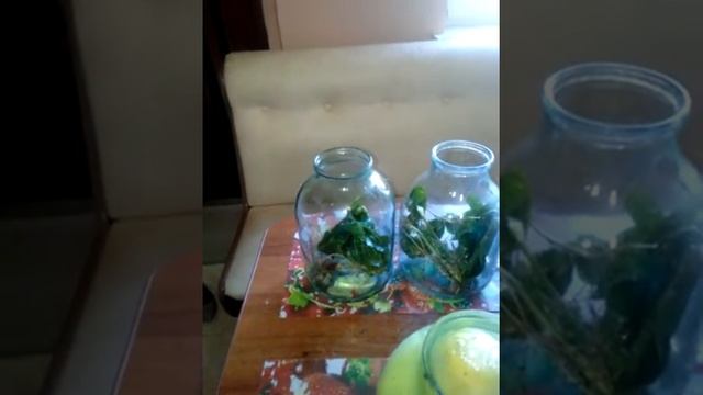 квасим помидоры на зиму смотреть онлайн