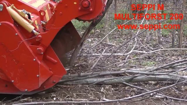Multiforst SEPPI M расчищает участок от леса и пней смотреть онлайн