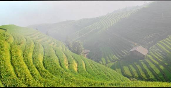Чиновник во время эпидемии. 6 подкаст из серии - Легенды древности. История древнего Китая смотреть онлайн