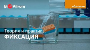 Вебинар «Фиксация в гистологии»
