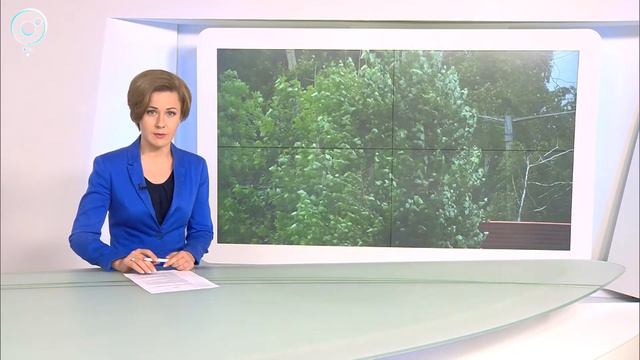 Экстренное предупреждение от МЧС. На новосибирскую область надвигаются грозы и штормовой ветер смотреть онлайн