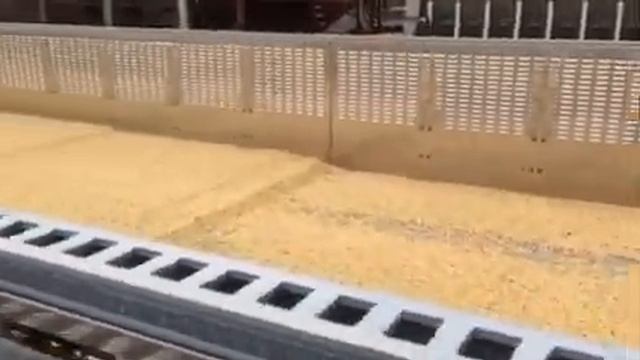 Зерносушилка "ВИК-ГРЕЙН 100" смотреть онлайн