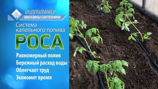 Система капельного полива РОСА смотреть онлайн