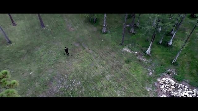 Whispers of the Fallen // Book Trailer смотреть онлайн