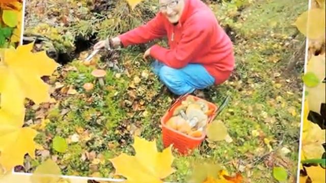 В лес за грибами смотреть онлайн