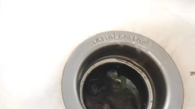 Измельчаю лук-порей в диспоузере InSinkErator ISE56 смотреть онлайн