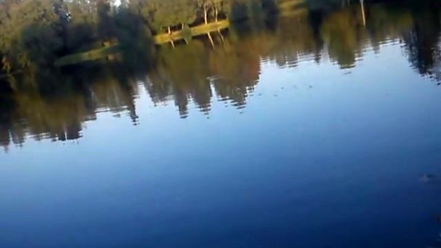 рыбачим в шуваловском парке пытаемся поймать карася а получилой ротанапоймать смотреть онлайн