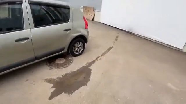 Renault Sandero 2011.МТ бежевый дц усть-курдюм юбилейный Renault Элвис. смотреть онлайн