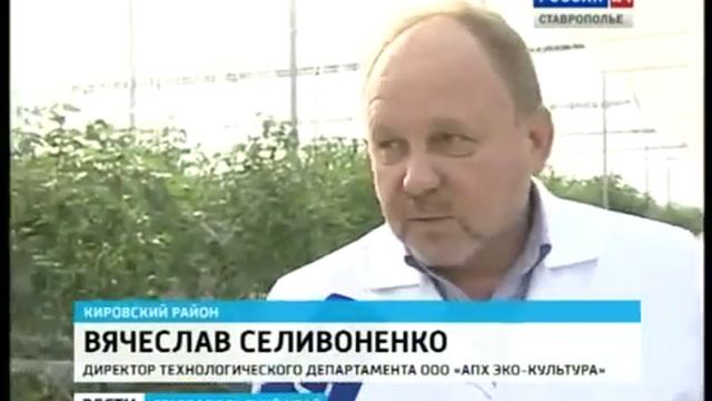 Заместить импорт помогают шмели смотреть онлайн