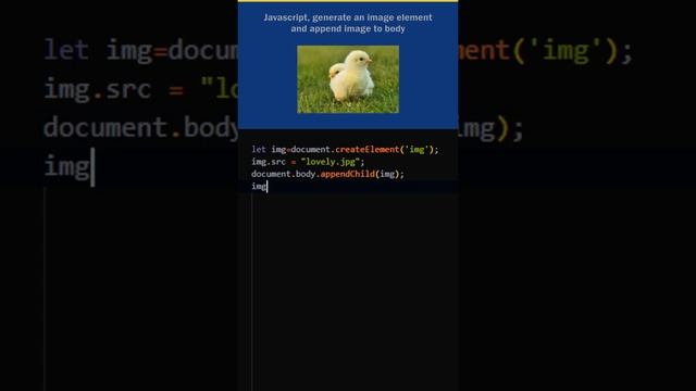 Javascript, how to add an image in a HTML page using javascript ? смотреть онлайн