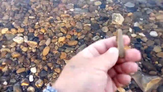 Как я собираю интересные камни и окаменелости на берегу Волги в Волгограде How I collect interestin смотреть онлайн