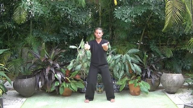 Daoist Five Yin Qigong Set