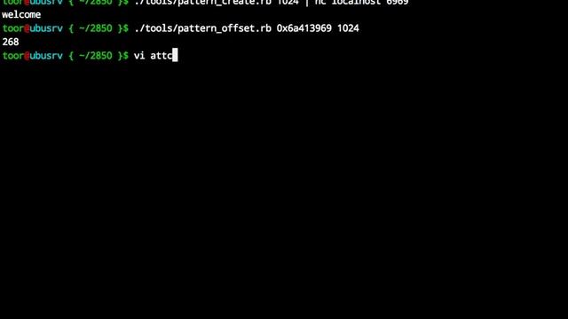 CSCI2850: 5 Minute Exploit in Perl смотреть онлайн