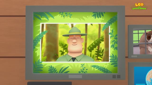 Mammals (Part 4/8) - Fun, Exciting Animals Stories for Kids | Educational | Leo the Wildlife Ranger смотреть онлайн