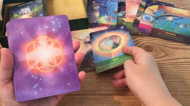 * NEW* Archangel Animal Oracle Cards by Diana Cooper, Unboxing & Review. смотреть онлайн