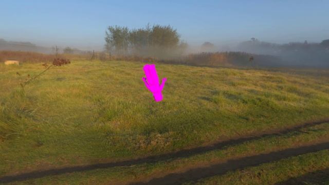 test animation in blender 2.9 using sunset hdri and roblox woman rig смотреть онлайн