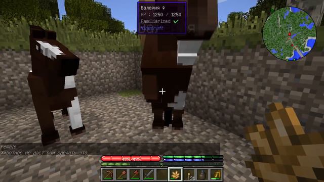#33/ЭТО КОНЕЦ?!/ Выживание в TerraFirmaCraft смотреть онлайн