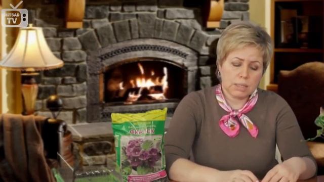 Эустома . Все о цветке. смотреть онлайн