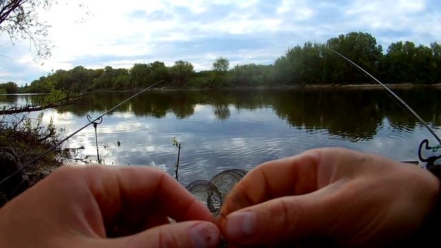 Ловля крупного КАРАСЯ на фидер на реке. (LiveFishing) смотреть онлайн