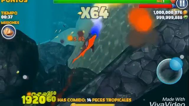 Hungry Shark Evolution Mod Apk (Actualizado)(Mediafire) смотреть онлайн