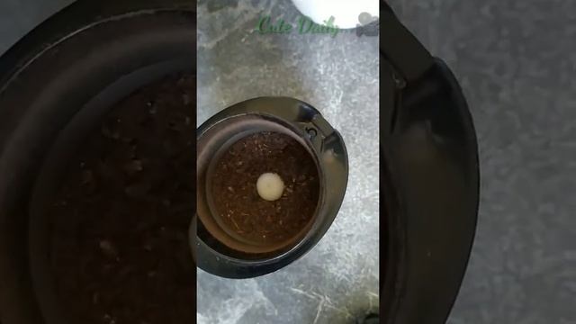???Блендер Кофемалька смотреть онлайн
