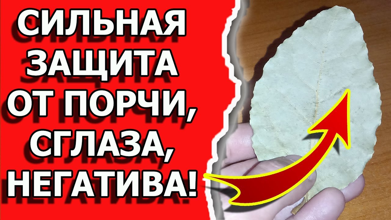 Защита от порчи и сглаза лавровым листом в домашней магии смотреть онлайн