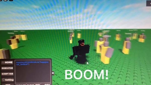 Roblox script showcase/01/goner