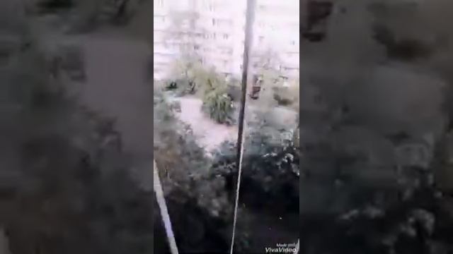 Кино вирус и карантин смотреть онлайн
