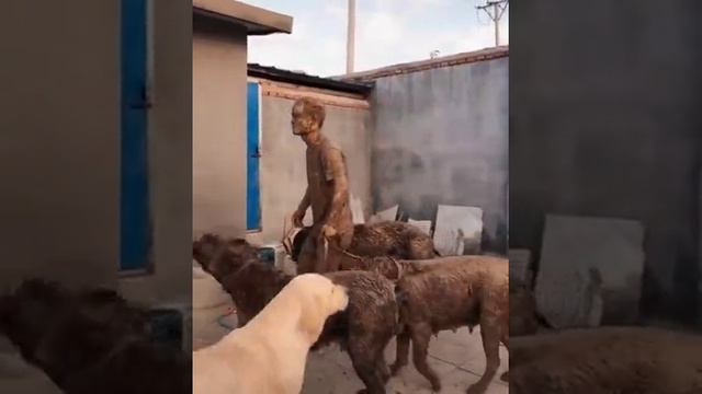 Вот это погуляли 😂 смотреть онлайн