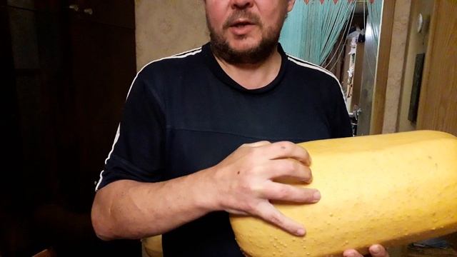 Чудо кабачок! смотреть онлайн
