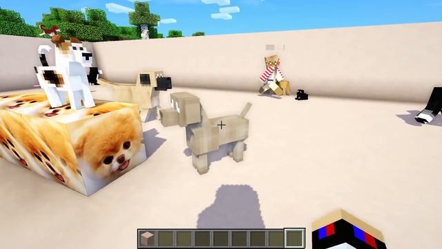 КАКУЮ ЯМУ Я ВЫБЕРУ В МАЙНКРАФТ? ЯМА КОШЕК ИЛИ ЯМА СОБАК В МАЙНКАРТФ? ЛОВУШКИ, ИСПЫТАНИЯ смотреть онлайн