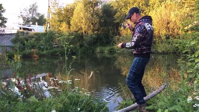 Не Обычный Крупный Окунь Химмаш ЕКБ на Спиннинг! смотреть онлайн