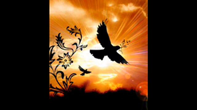 Se.Ra.Phic - Sunset Rose (Original Mix) смотреть онлайн